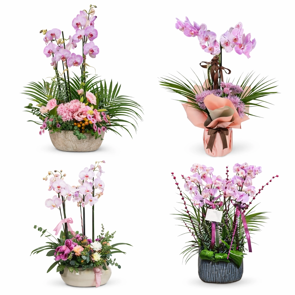 Macakizi Hotel Flower Delivery | Luxury Flowers in Turkbuku Bodrum