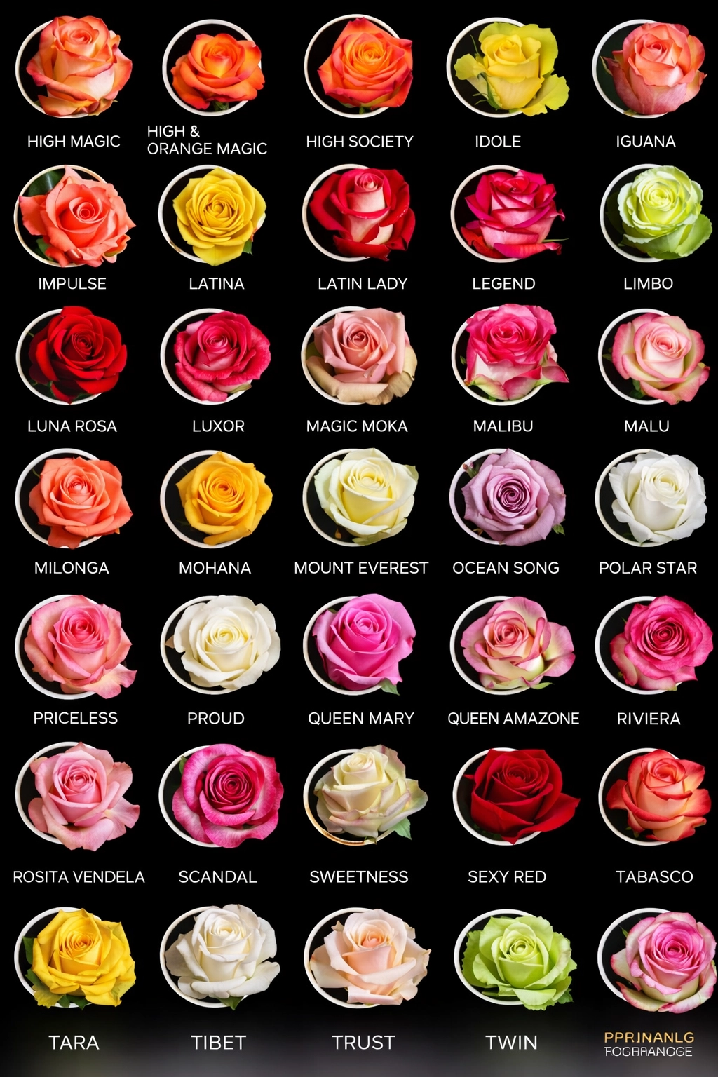 Mandarin Oriental Çiçek Siparişi | Otel İçi Teslimat